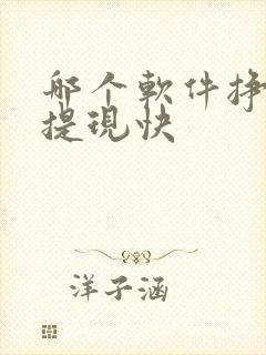 哪个软件挣钱多提现快