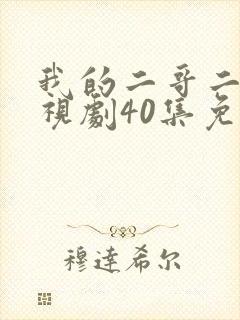 我的二哥二嫂电视剧40集免费观看 我的二哥二嫂电视剧40集免费观看