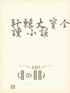 轩辕大宝全文阅读 小说