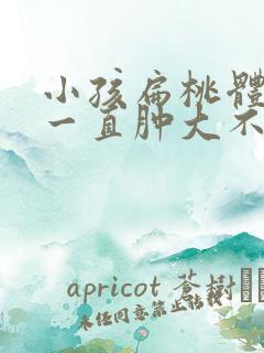 小孩扁桃体一侧一直肿大不消