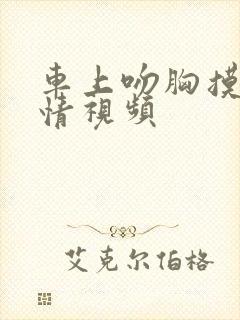 车上吻胸摸腿激情视频