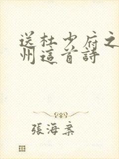 送杜少府之任蜀州这首诗