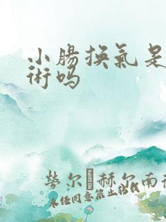 小肠换气是大手术吗
