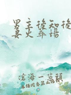 男主后知后觉追妻火葬场