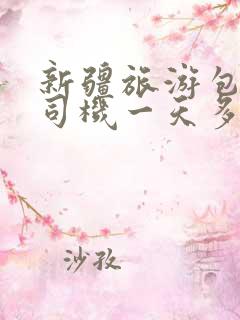 新疆旅游包车带司机一天多少钱