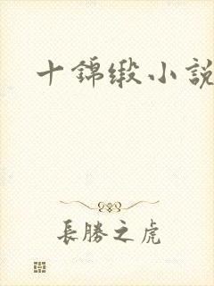 十锦缎小说
