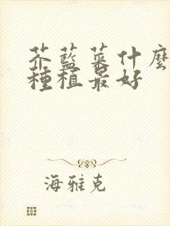 芥蓝菜什么时候种植最好