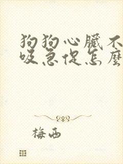狗狗心脏不好呼吸急促怎么办 狗狗心脏不好呼吸急促怎么办