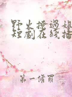 野火撩过姐姐心短剧在线播放