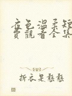 夜色温柔短剧免费观看全集