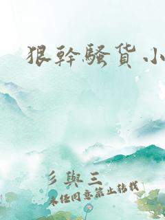 狠干骚货小说
