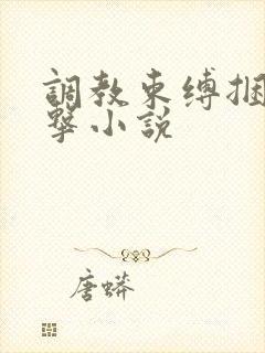 调教束缚捆绑电击小说