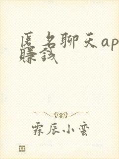 匿名聊天app赚钱