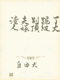 渣夫别跪了,夫人嫁顶级大佬免费阅读