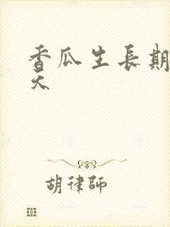 香瓜生长期多少天 香瓜生长期多少天