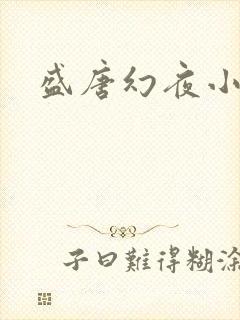 盛唐幻夜小说