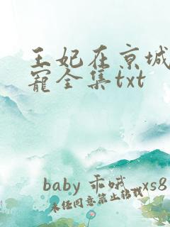 王妃在京城当团宠全集txt