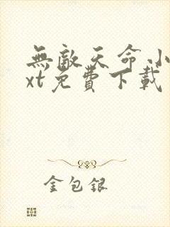 无敌天命小说txt免费下载
