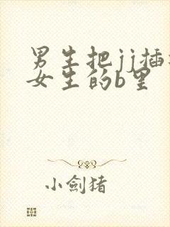 男生把jj插进女生的b里