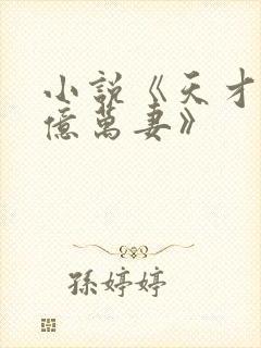 小说《天才萌宝亿万妻》
