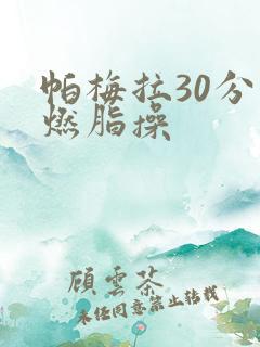 帕梅拉30分钟燃脂操