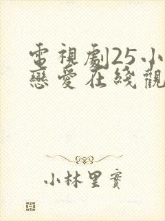电视剧25小时恋爱在线观看免费全集