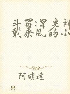 斗罗:星光神兽戴乘风的小说