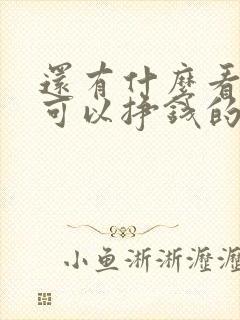 还有什么看视频可以挣钱的软件