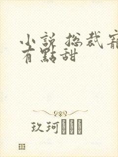 小说 总裁宠妻有点甜