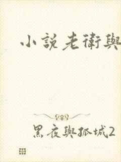 小说老卫与淑容