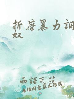 折磨暴力调教男奴