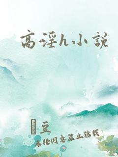 高淫h小说