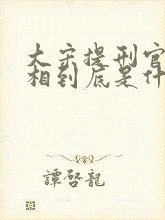 大宋提刑官2真相到底是什么 大宋提刑官2真相到底是什么