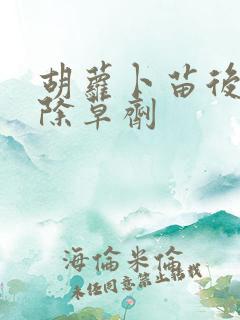胡萝卜苗后专用除草剂 胡萝卜苗后专用除草剂