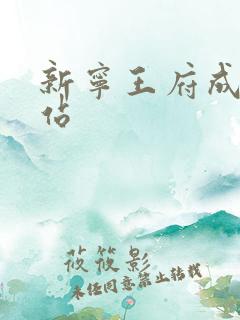 新宁王府成人网站 新宁王府成人网站