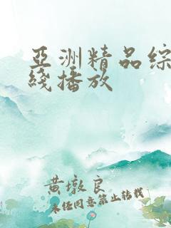 亚洲精品综合在线播放
