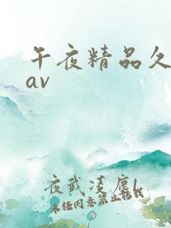 午夜精品久久久av