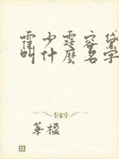 霍少霆容黛小说叫什么名字