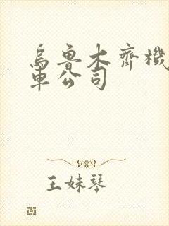 乌鲁木齐机场租车公司 乌鲁木齐机场租车公司