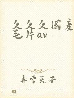 久久久国产精品毛片av