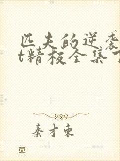 匹夫的逆袭txt精校全集下载 匹夫的逆袭txt精校全集下载