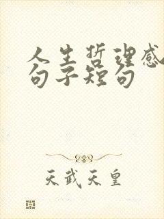 人生哲理感悟的句子短句 人生哲理感悟的句子短句