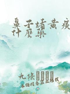鼻子堵黄痰多吃什么药