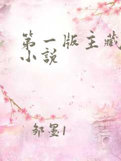第一版主藏经阁小说