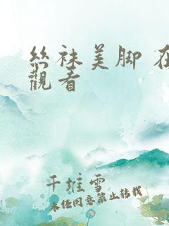 丝袜美脚 在线观看