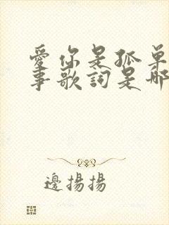 爱你是孤单的心事歌词是哪首歌 爱你是孤单的心事歌词是哪首歌