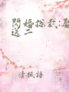闪婚总裁:娶一送二