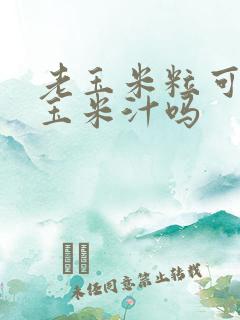 老玉米粒可以打玉米汁吗