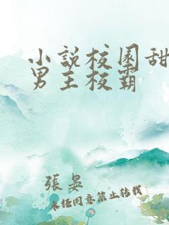 小说校园甜宠文男主校霸