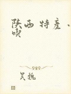 陕西 特产 小吃